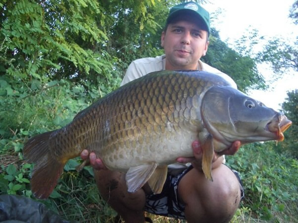 Silea Nr 34 Lovely Carp Club