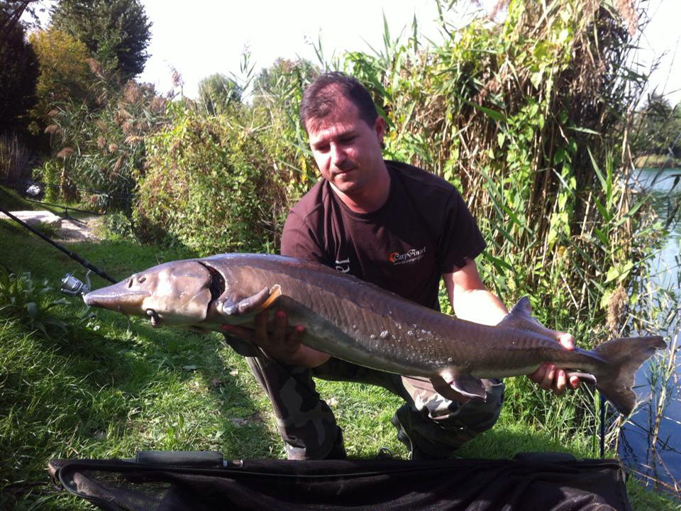 Anguillara Veneta Nr 124 Carp Team 2005